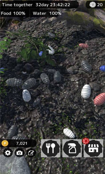 圆滚滚朋友手游