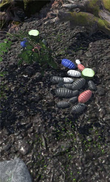 圆滚滚朋友手游