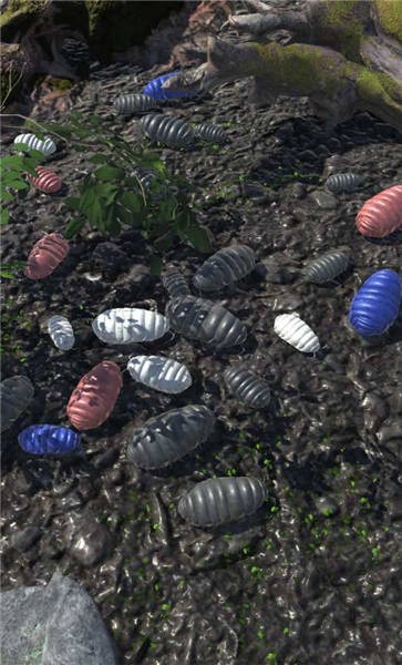 圆滚滚朋友手游