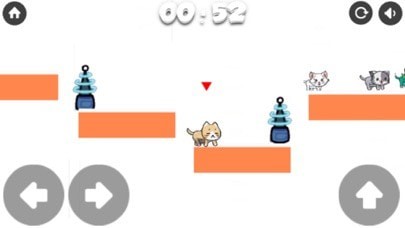 废朋友猫咪闯关挑战