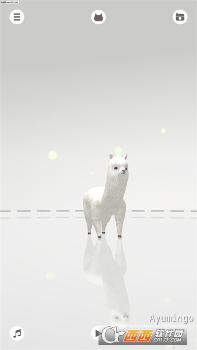 aDanza(一个跳舞的羊驼)