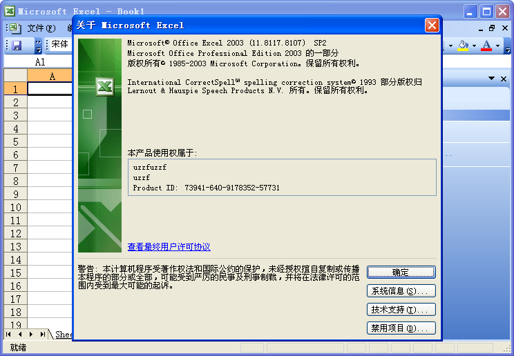 Office 2003 sp2精简版