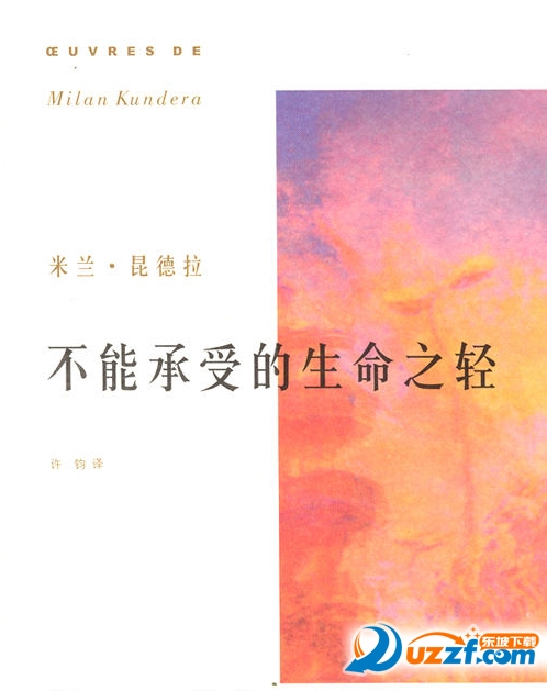 不能承受的生命之轻txt全文阅读