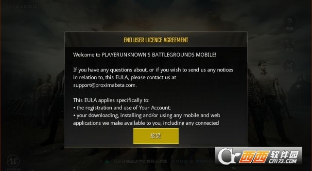 beta pubg mobile国际服体验服