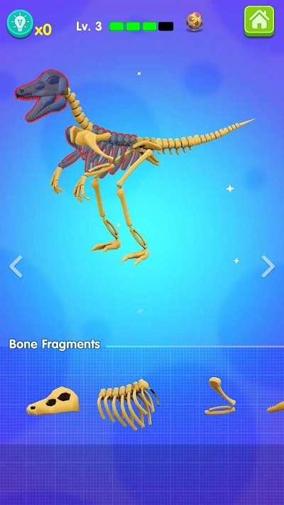 Dinoland(恐龙拼图)