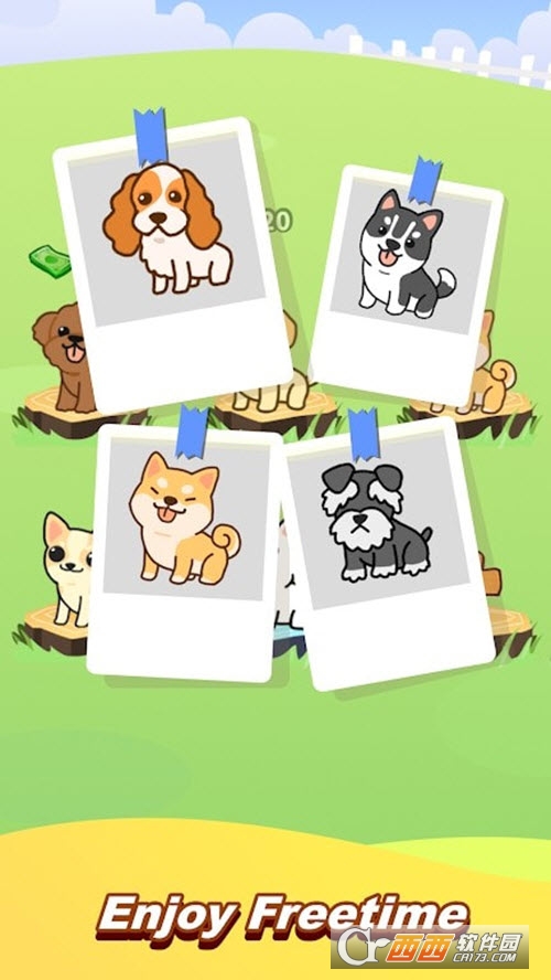 魔法狗狗Magic Dog