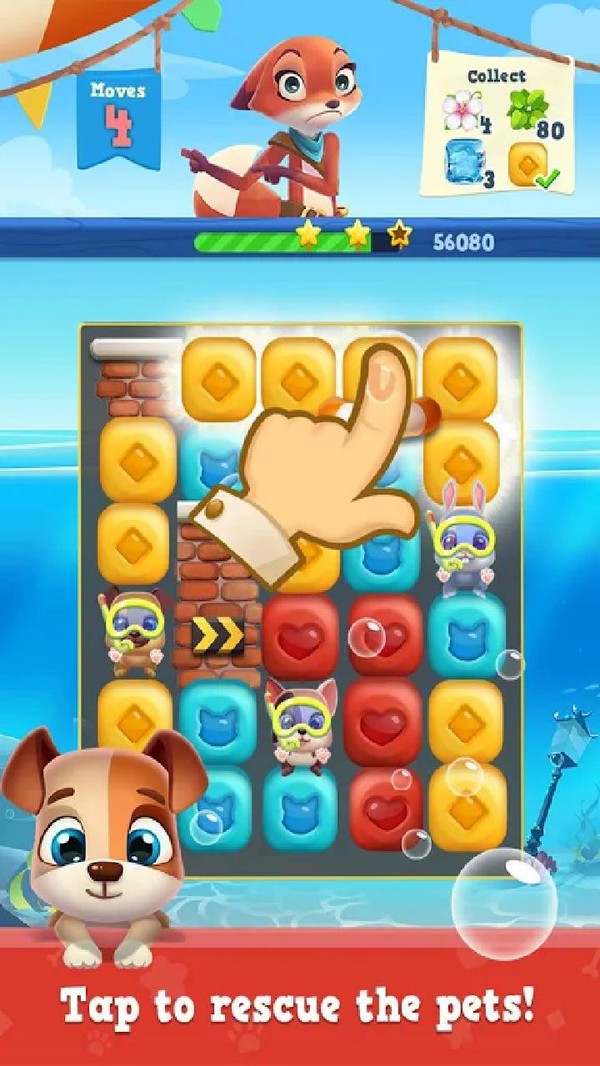 可爱的宠物救援