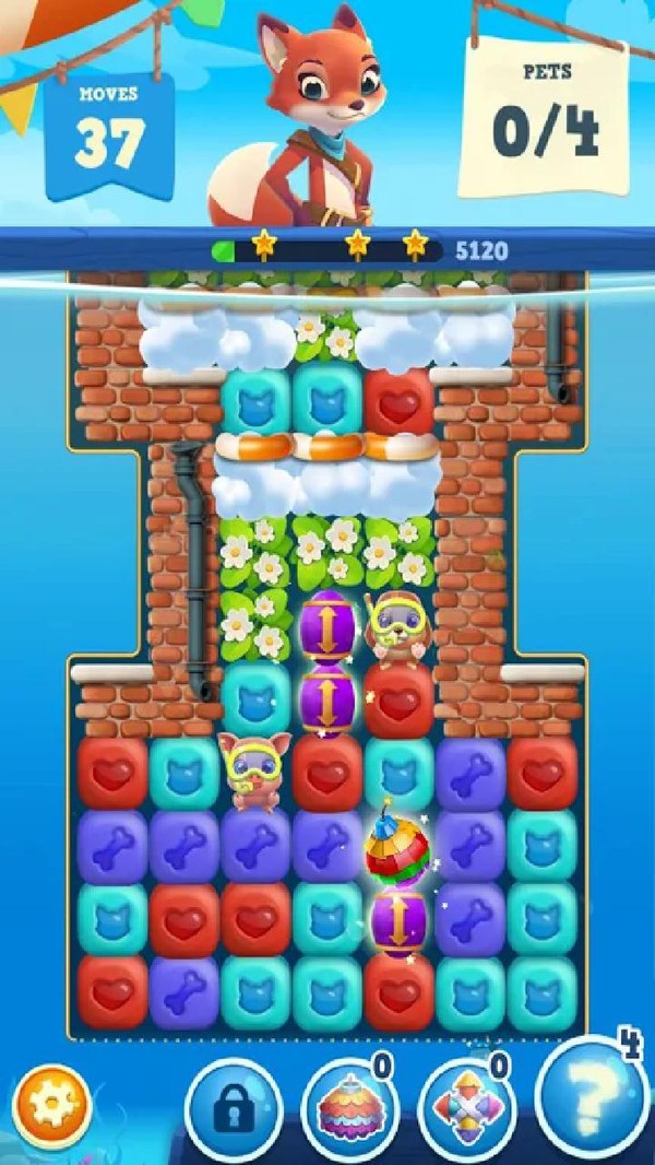 可爱的宠物救援