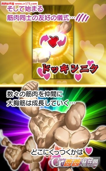 兄贵松鼠中文版