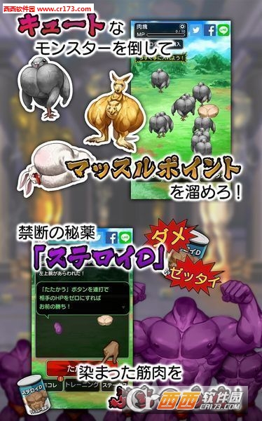 兄贵松鼠中文版