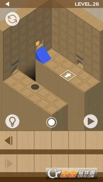 Woody Bricks and Ball Puzzles