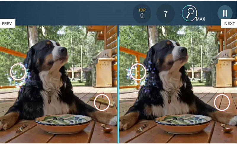 Difference Find King(找茬之王)