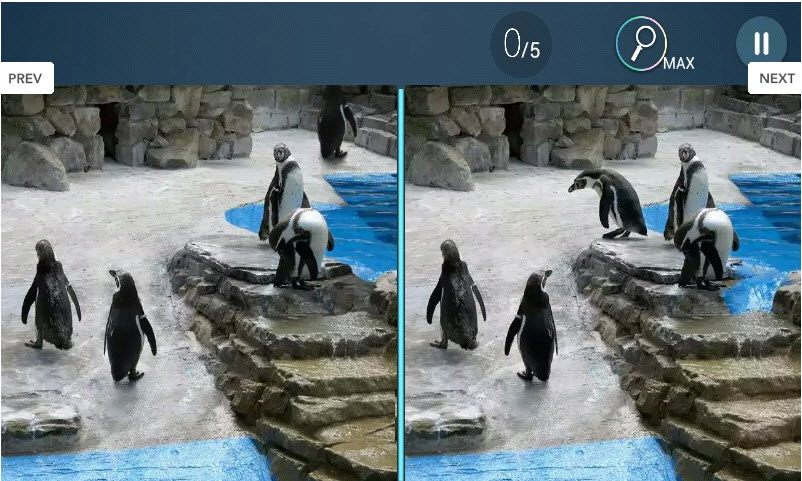 Difference Find King(找茬之王)