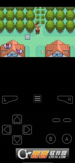 口袋妖怪最后的火红游戏