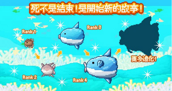 曼波鱼 Mola mola最新版