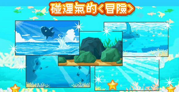 曼波鱼 Mola mola最新版
