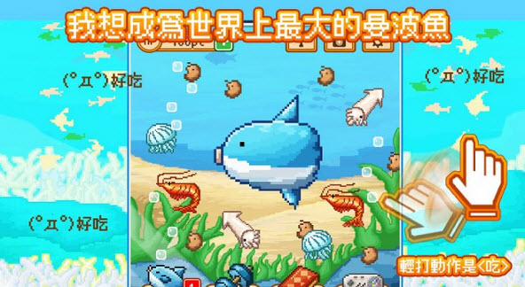 曼波鱼 Mola mola最新版