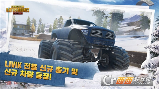 绝地求生:刺激战场(国际服)手游