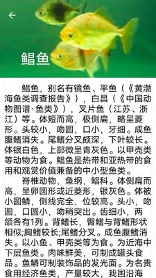 同聚元鱼类烹饪指南