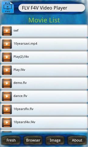 FLV F4V影片播放器