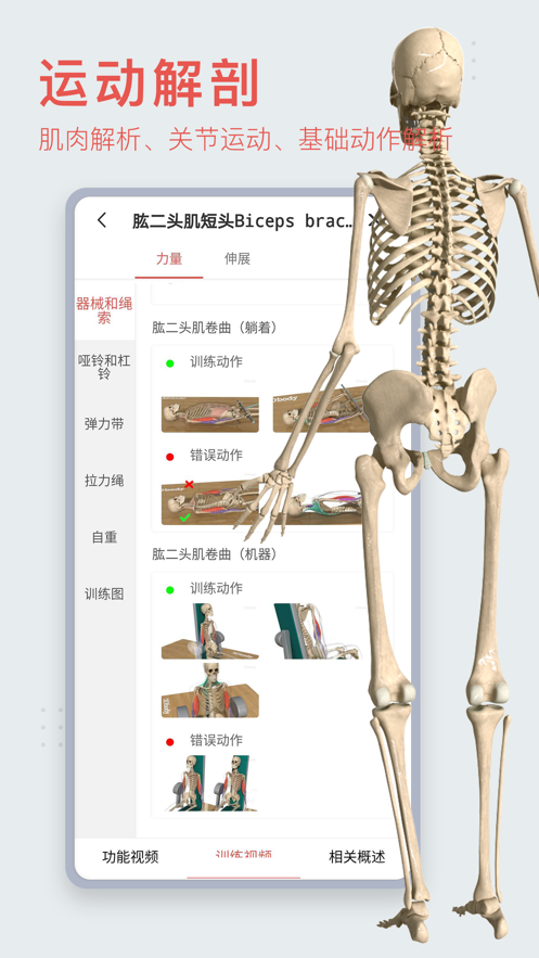 3Dbody解剖
