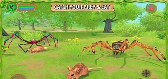 蜘蛛模拟器蜘蛛的一生