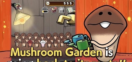 元祖菇菇栽培研究室