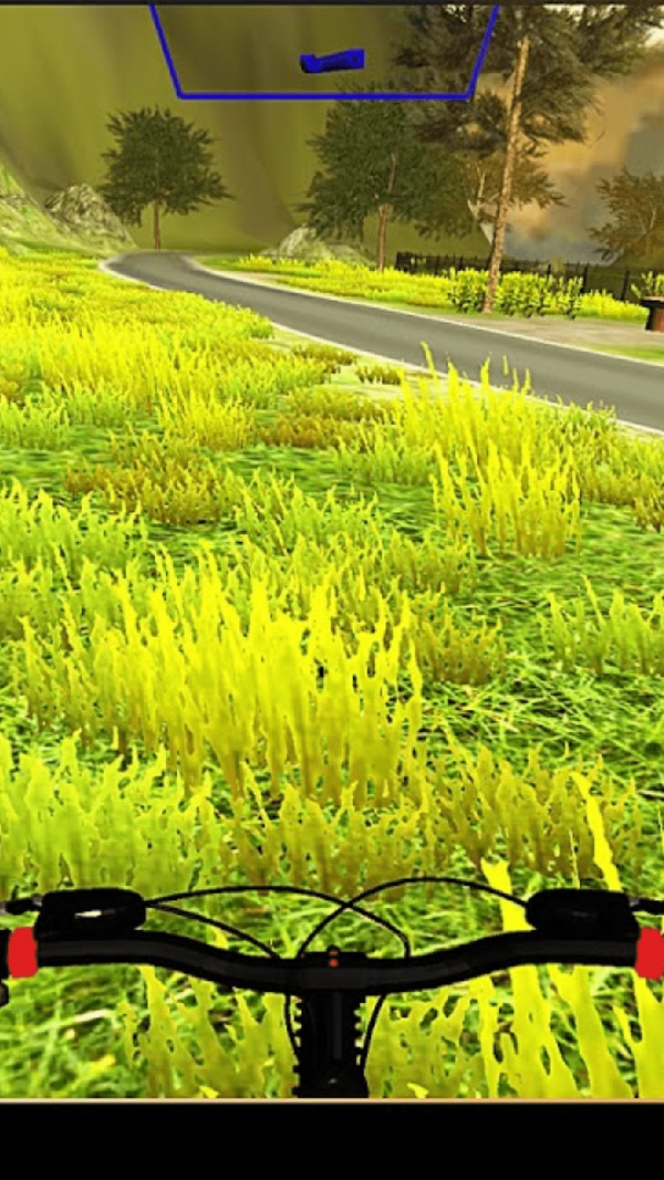 自行车进化模拟器