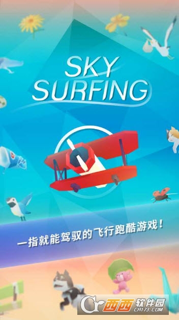 Sky Surfing(空中冲浪)