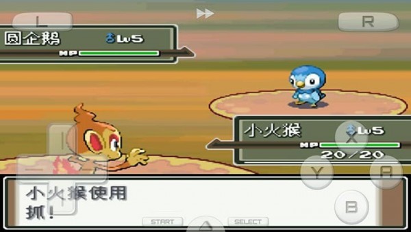 口袋妖怪白金版