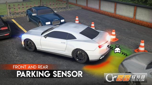 Parking Pro(停车场专家)