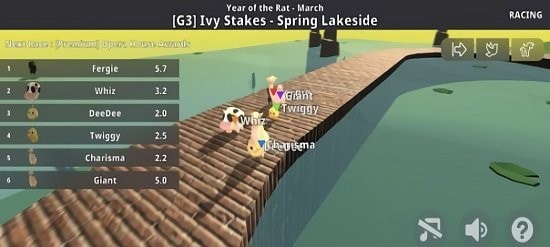 可爱动物赛跑比赛2021