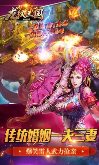 龙纹三国