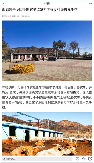 掌上朝阳app